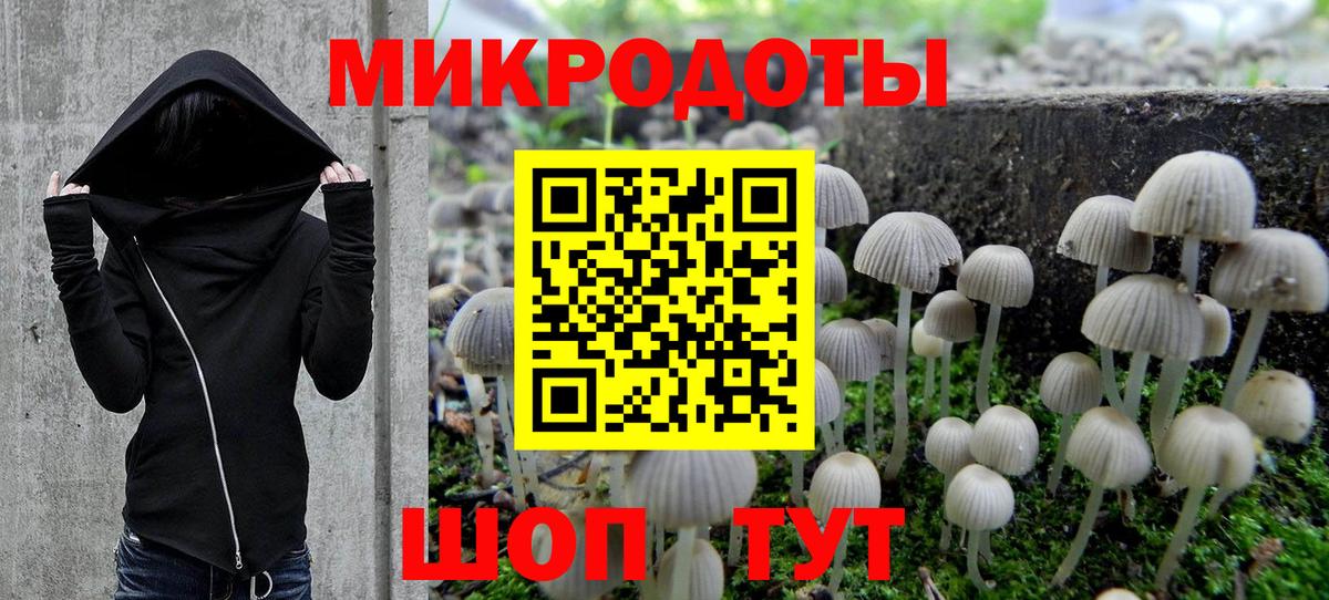 Галлюциногенные грибы Psilocybine cubensis Улан-Удэ