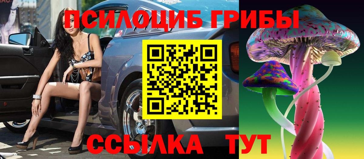 Улан-Удэ  Галлюциногенные грибы Psilocybine cubensis  Вход с VPN 